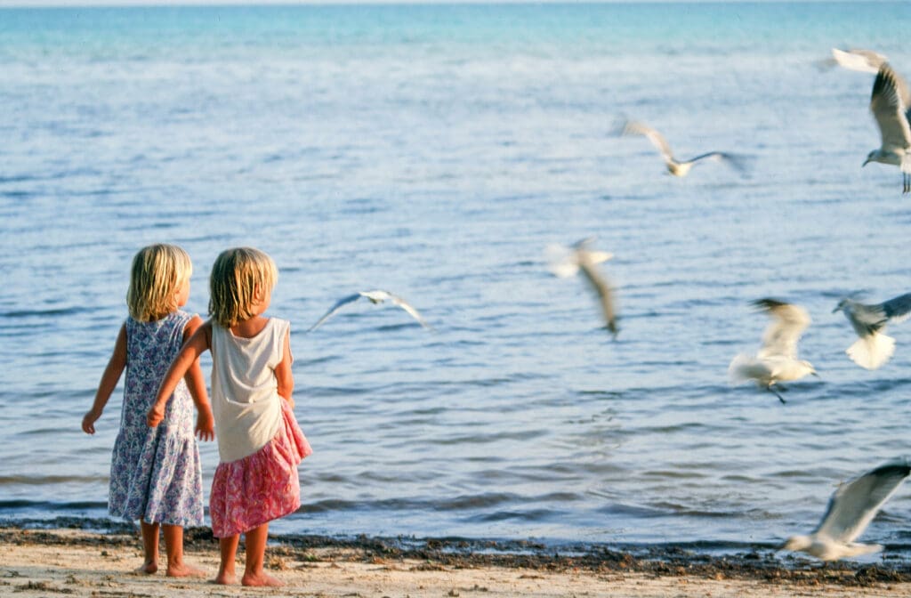 Two young children looking out at seagulls on the ocean.